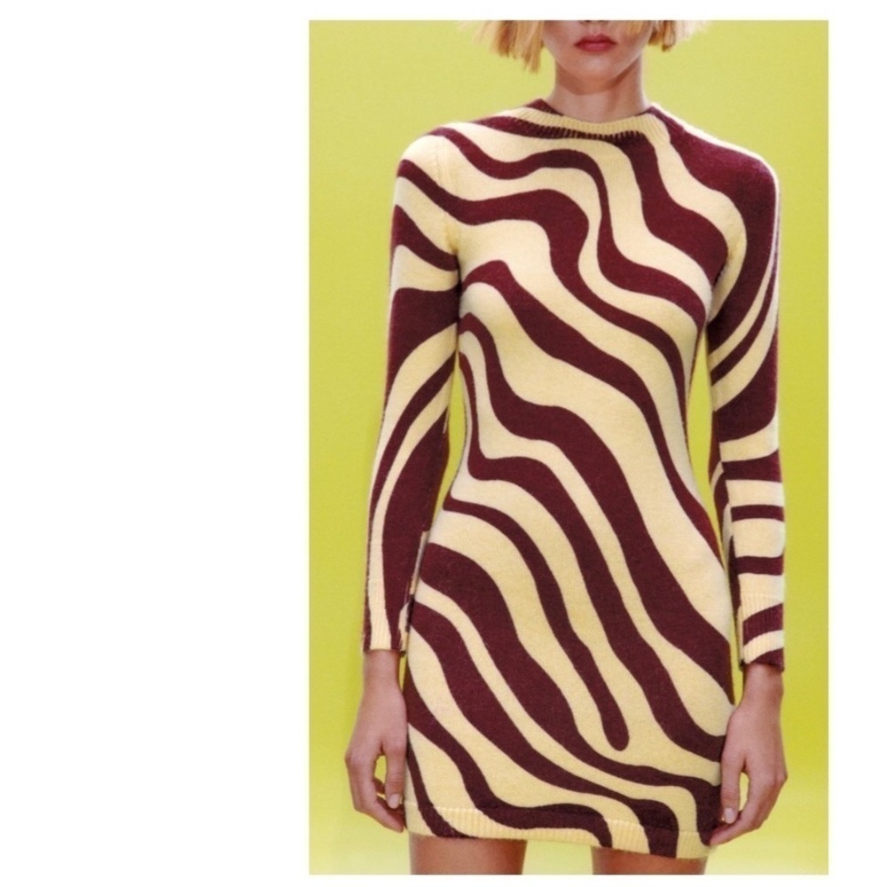 Zara Jacquard Knit Dress